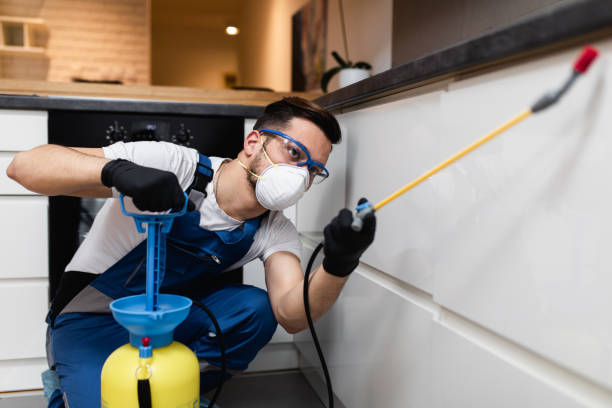 Professional Pest Control in Lakemont, PA
