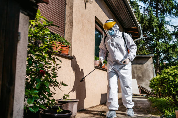 Best Pest Prevention Services  in Lakemont, PA