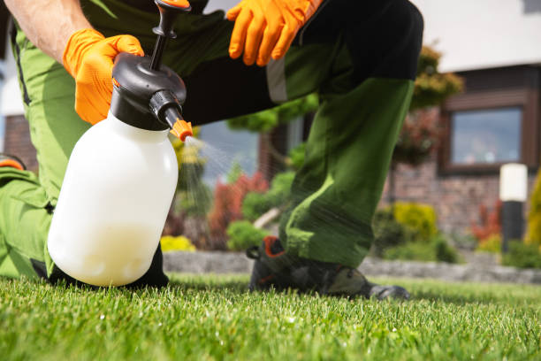 Best Exterminator Services  in Lakemont, PA