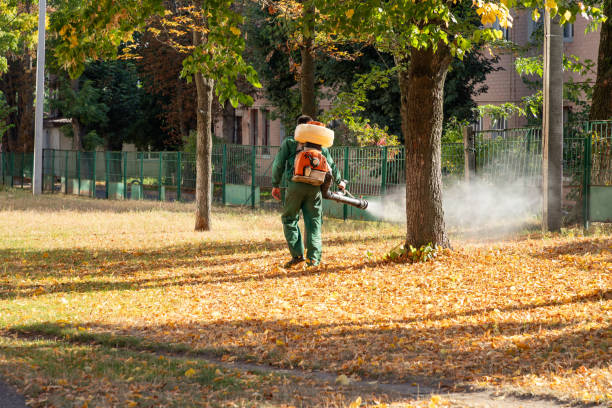 Best Commercial Pest Control Services  in Lakemont, PA